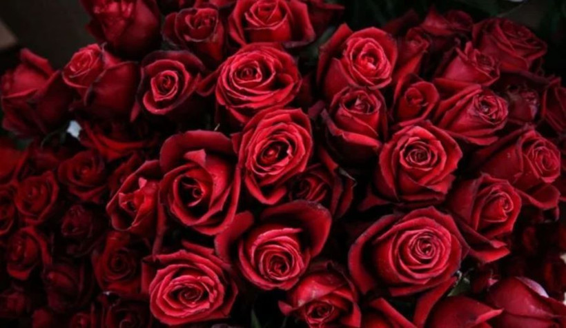 Ünlülerin 14 Şubat Sevgililer Günü paylaşımları... Aşka geldiler destan yazdılar... - Resim: 1