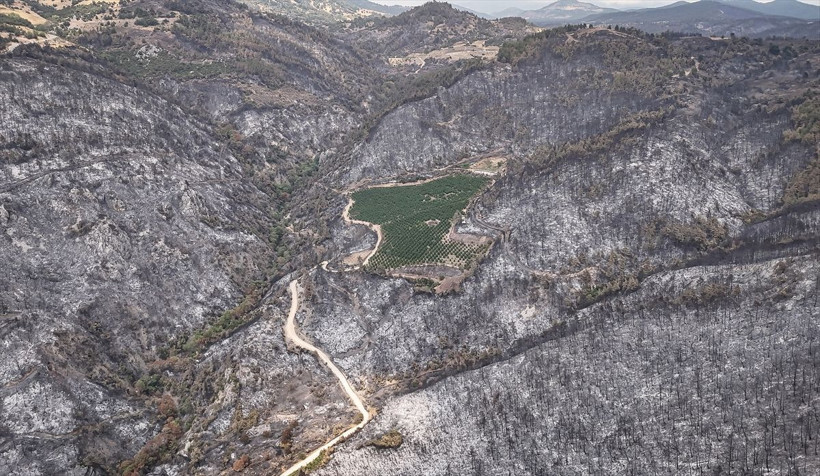 Bursa'daki orman yangınında şaşkına çeviren görüntü! Etrafı küle döndü sadece orası yanmadı! - Resim: 1