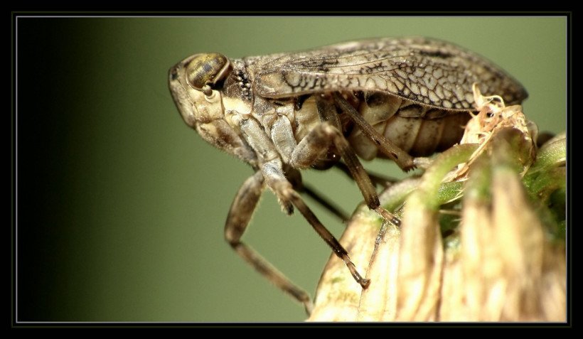 Ne olduğunu tahmin bile edemezsiniz! - Resim: 2