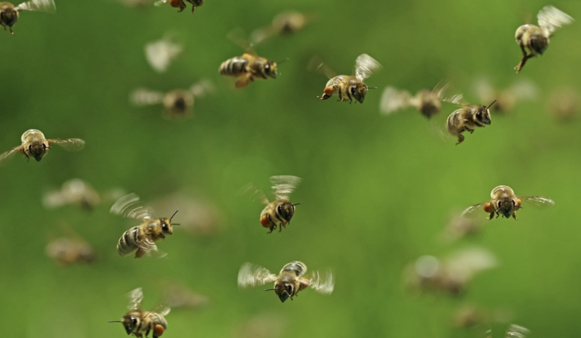 Nostradamus’un İran kehaneti! 500 yıl öncesinden savaşı bildi mi? - Resim: 3