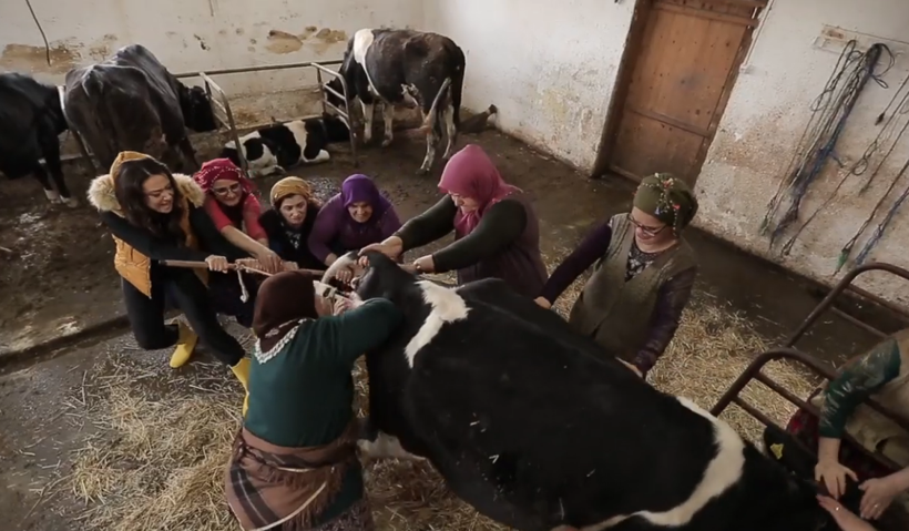 Ezgi Sertel'in zor anları canlı yayında ne yapacağını şaşırdı - Resim: 2