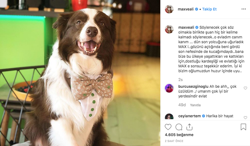 Yetenek Sizsiniz şampiyonu Max'ten acı haber geldi sahibi Ali Yeşilırmak duyurdu - Resim: 3