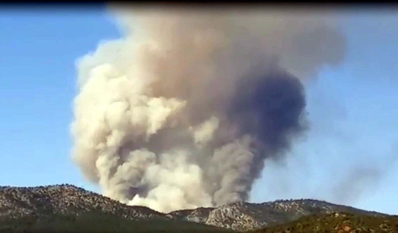 Ankara'da orman yangını! Saatler sonra söndürüldü - Resim: 1