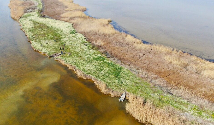 Kesin korunacak hassas alan ilan edildi! Adana'da görenler hayran kaldı: Milyonlarca var - Resim: 1