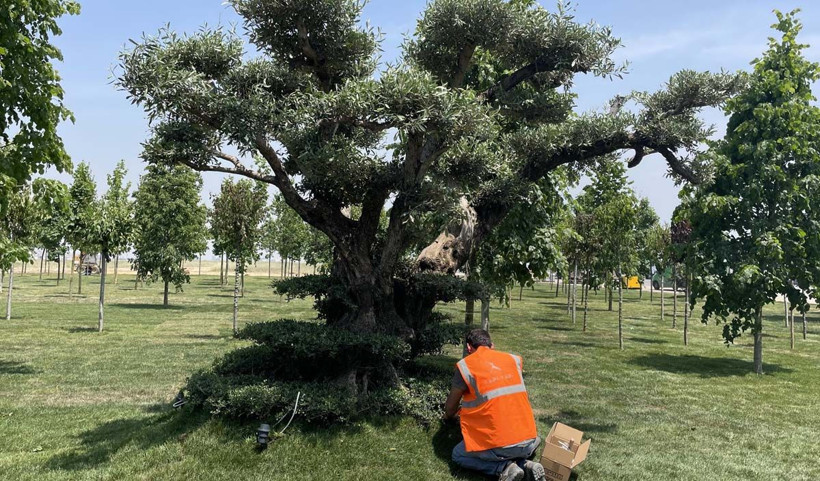 Cumhurbaşkanı Erdoğan'ın katılımıyla bugün Atatürk Havalimanı Millet Bahçesi'ne dönüşüyor - Resim: 4