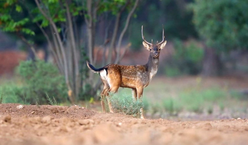 Antalyalı vatandaşlara önemli uyarı bölgeden uzak durulması isteniyor! - Resim: 1