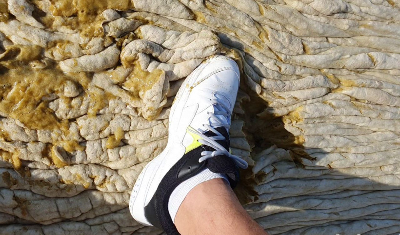 Marmara'daki müsilajın yoğunluğu böyle görüntülendi! "Deniz betonla kaplı gibiydi" - Resim: 4