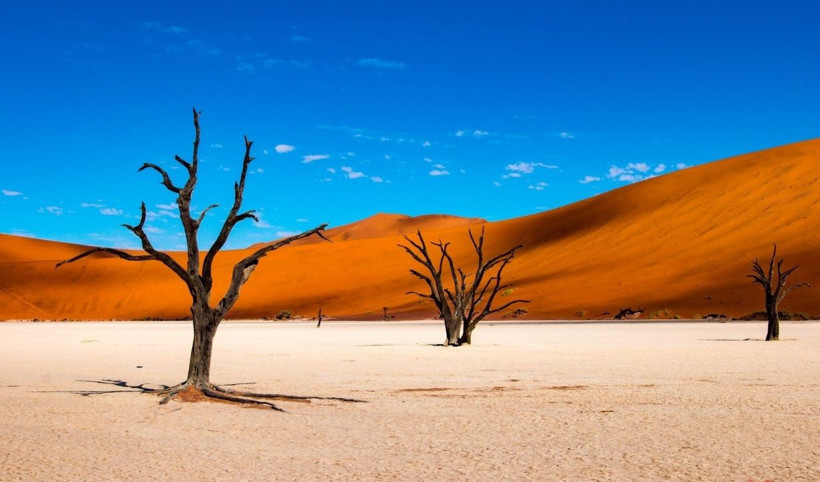Bu bölgelere henüz ayak basılmadı! İşte dünya üzerinde tam olarak keşfedilmeyen 10 yer! - Resim: 3