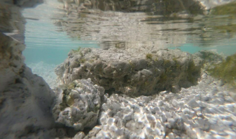 NASA yine Salda'yı paylaştı! Yaşamın sırrı burada... - Resim: 3