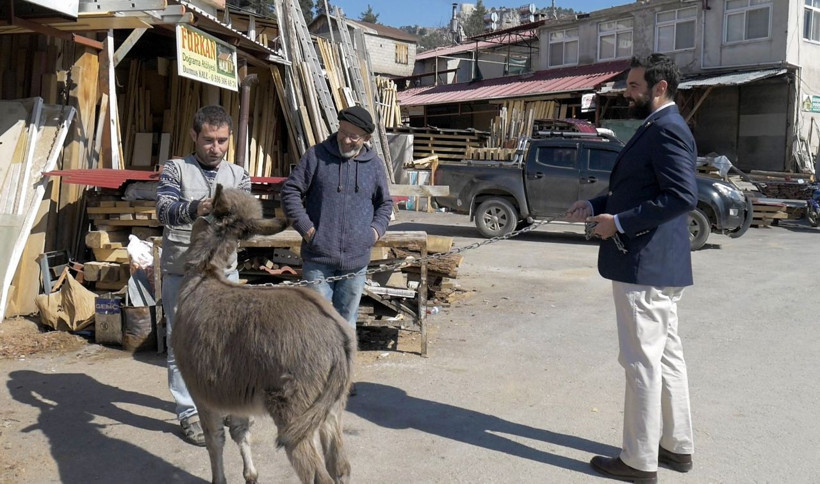 DSP Çamlıyayla adayı Alp Erdem sıpa ile ilçeyi dolaşıyor - Resim: 3