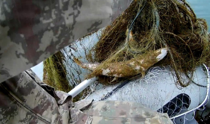 Kırıkkale'de Kızılırmak'a bırakılan hayalet ağ katliama neden oldu - Resim: 4