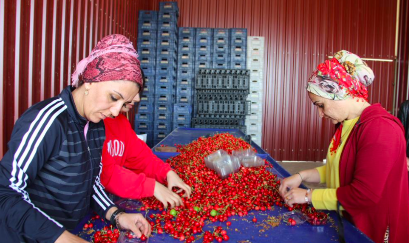 İlk satışı kilosu 700 liradan satılmıştı şimdi 80 liraya düştü - Resim: 2