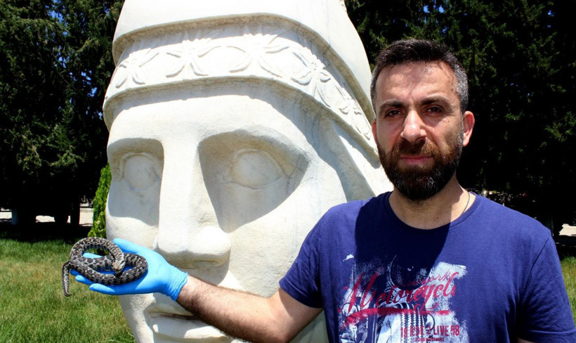 Nesli tükenmekte olan yılan Nemrut Dağı'nda görüldü - Resim: 4