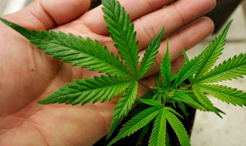 Piyango talihlileri kazandıkları para ile ne yaptı? İşte birbirinden ilginç hikayeleri! - Resim: 4