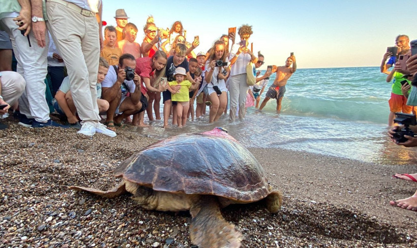 Caretta Caretta ‘Lara Barış’ 1,5 yılda 4 bin kilometre yol kat etti! - Resim: 3