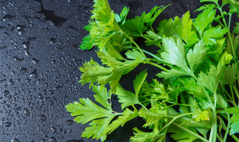 Bu karışım uyurken yağ yaktırıyor! - Resim: 1