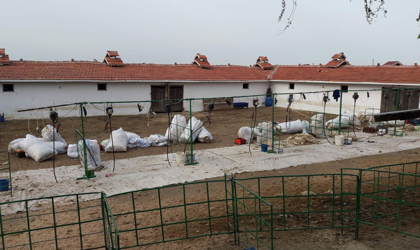 Koyun kırkma sırasında elektrik akımına kapıldılar: 1 ölü, 10 yaralı - Resim: 2
