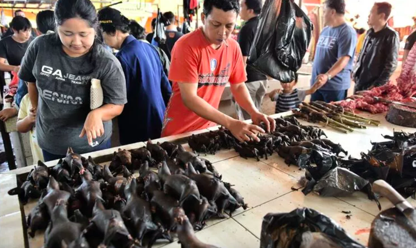 Wuhan'da 18 yeni virüs bulundu yeni salgın korkusu! Koronavirüs de oradan başlamıştı - Resim: 2