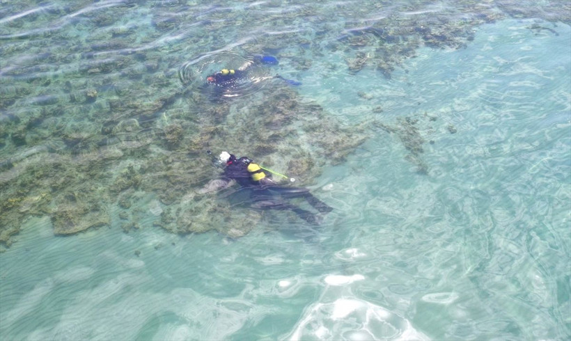 Van Gölü'nde tespit edildi uzman isim açıkladı 20-40 metre boylarında - Resim: 2