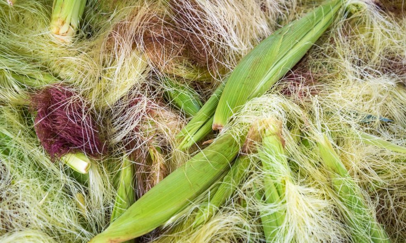 Mısırı yiyip püskülünü atmayın Faydaları inanılmaz - Resim: 4