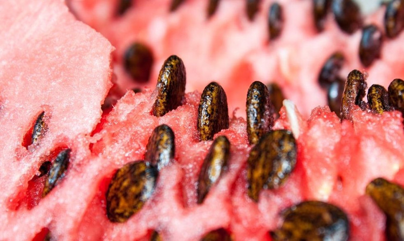 Çöpe attığımız karpuz çekirdeğinin inanılması güç faydaları - Resim: 1