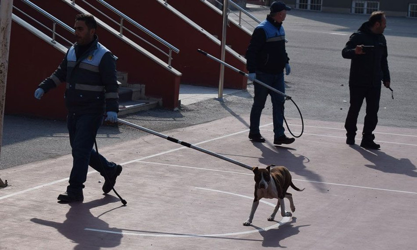 Bir anda okul bahçesine girip öğrencilere saldırdı! Çorum'da pitbull dehşeti - Resim: 3