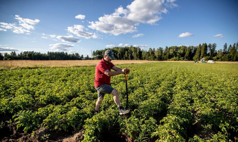 Çiftçilere faizsiz, kefaletsiz, limitsiz destek müjdesi! - Resim: 3