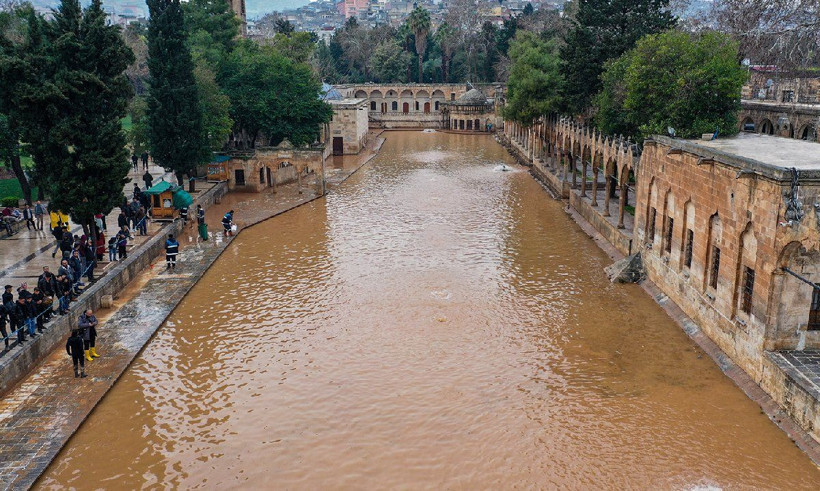 Şanlıurfa'da Balıklıgöl'ün balıkları nereye gitti? Mahalle aralarında balık toplayanlar var! Yenirse zehirler mi? - Resim: 1