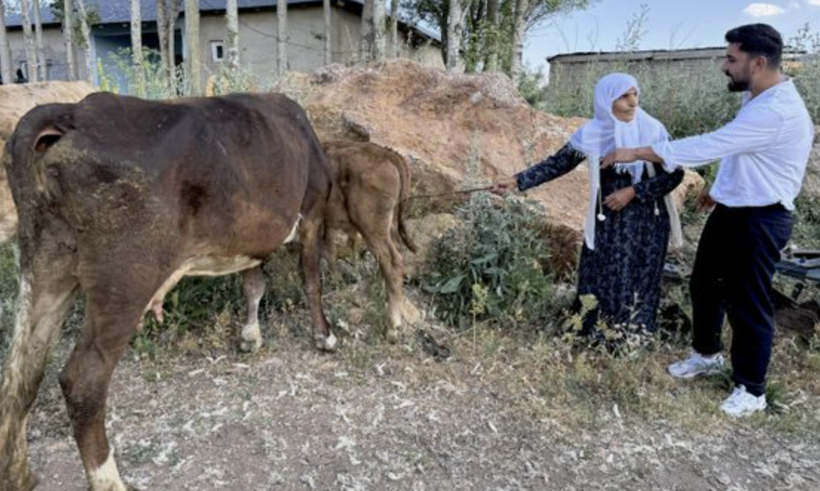 Hakkari'de ineği ölen teyze Türkiye'yi ağlatmıştı! Gereken yapıldı... - Resim: 4