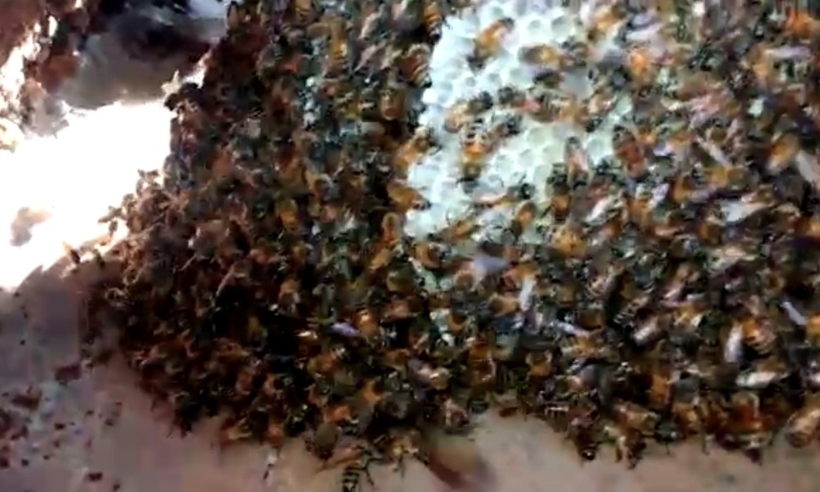 Kazayla su borusunu kırdı! İçinden çıkanlar şaşkına çevirdi - Resim: 2