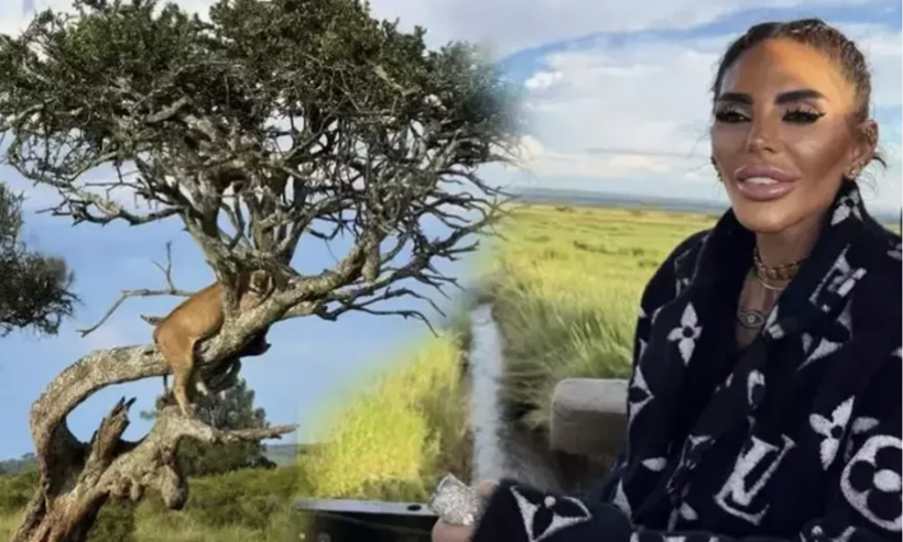 Süreyya Yalçın safaride de şıklığı ile gündemde! Tarzı olay oldu... - Resim: 2