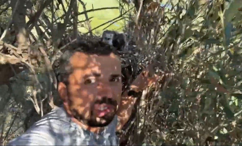 Sahibi gelse olacakları siz düşünün! 10 yıldır peşindeydi tırmanıp görüntüledi - Resim: 1