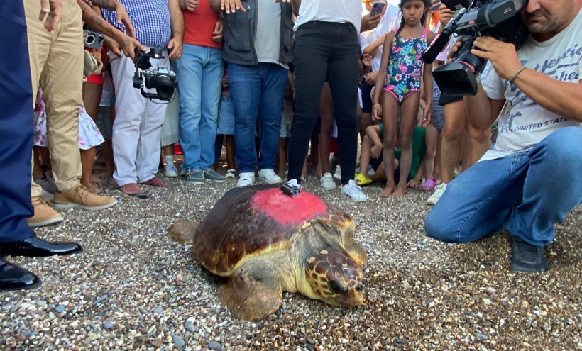 Caretta Caretta ‘Lara Barış’ 1,5 yılda 4 bin kilometre yol kat etti! - Resim: 2