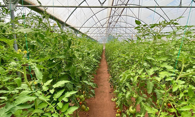 Emekli oldu arazisine serayı kurdu geliri de yüksek iş arayanlara tavsiye etti - Resim: 3