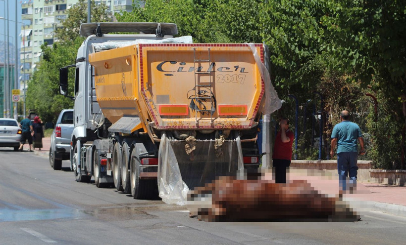 Antalya'da TIR'dan caddeye kurban atıkları döküldü - Resim: 3