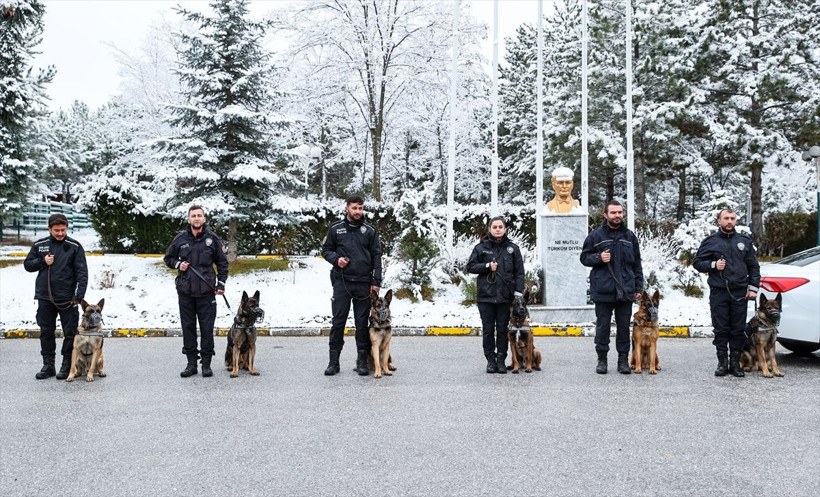 Operasyonların gizli kahramanları dedektör köpekler sıkı eğitimden geçiriliyor - Resim: 1