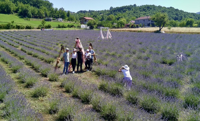 Sinop'ta üretici kadınlar ekti! Lavanta tarlaları turistleri byüledi... - Resim: 4