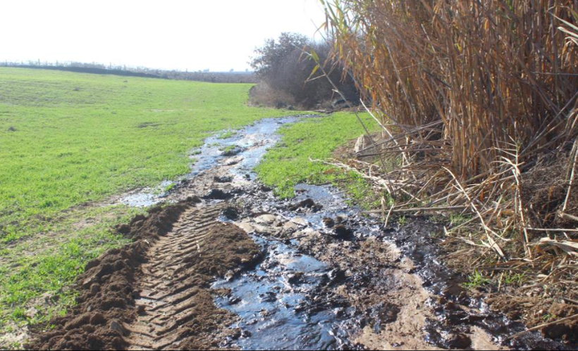 Su ararken bahçede buldu bütün ilçe bayram etti! Aynı yerde ikinci kez oldu - Resim: 2