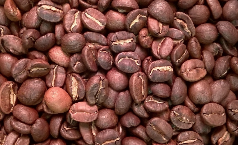 Misk kedisinin dışkısından yapılıyor! Bu kahvenin fiyatı 450 lira - Resim: 3