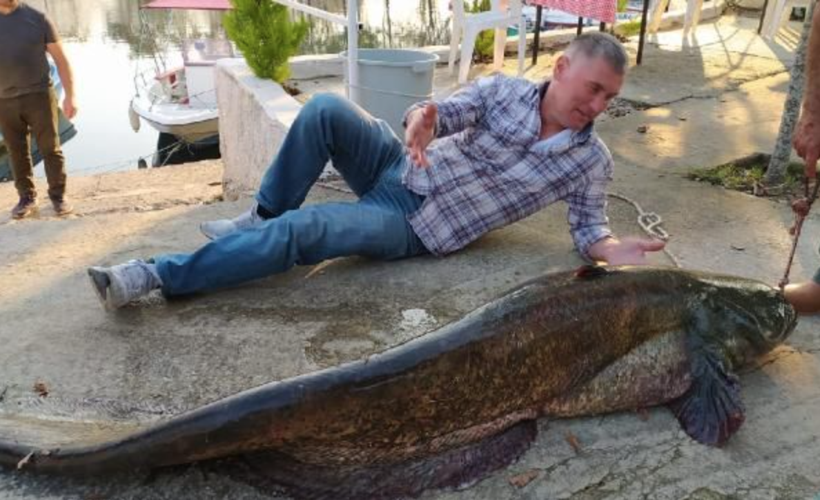 Balıkçıların ağına takıldı! Tam 2 metre Gören telefona sarıldı - Resim: 3
