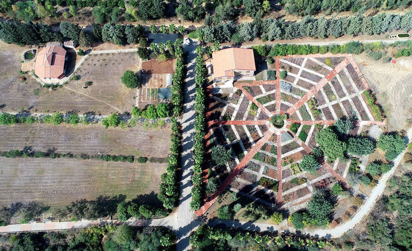 Uzmanı uyarıyor! Türkiye’den çalıp kaçırdıkları şifalı bitkileri ilaç olarak bize geri satıyorlar - Resim: 2