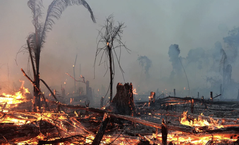 Orman yangınları bilançosu belli oldu! Bakan Yerlikaya il il açıkladı - Resim: 1