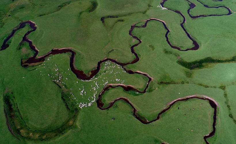 Ordu'da bir doğa harikası: Perşembe Yaylası - Resim: 4
