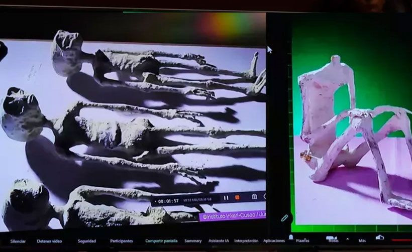 DNA sonuçları çıktı! Meclis'te gösterilen cesetler insana ait değil! Uzaylılar denilmişti... - Resim: 4