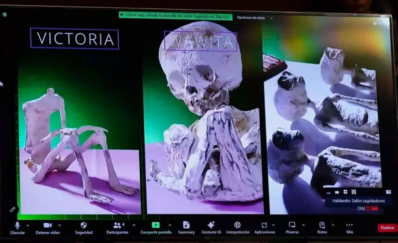 DNA sonuçları çıktı! Meclis'te gösterilen cesetler insana ait değil! Uzaylılar denilmişti... - Resim: 2