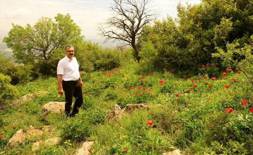 Bu çiçeğe zarar verene 42 bin lira ceza - Resim: 2