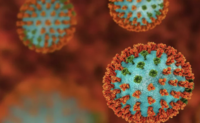 Bakanlıktan uyarı yapıldı! Avrupa'da yayılan virüs Türkiye'ye yayılıyor mu? - Resim: 4