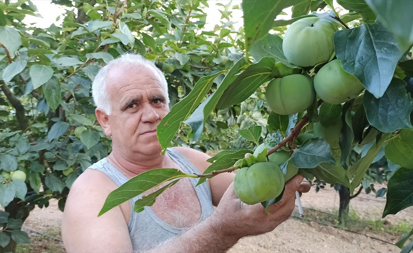 Meyve bahçesine bu sistemi kurdu, enerji maliyeti sıfıra düştü! 100 bin lira cebinde kaldı... - Resim: 3