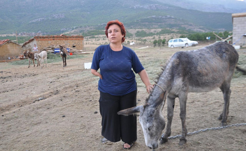 Kanser hastası eşine içirdi eşi iyileşti çiftliğini kurdu Türkiye'nin her yerinden talep var - Resim: 1