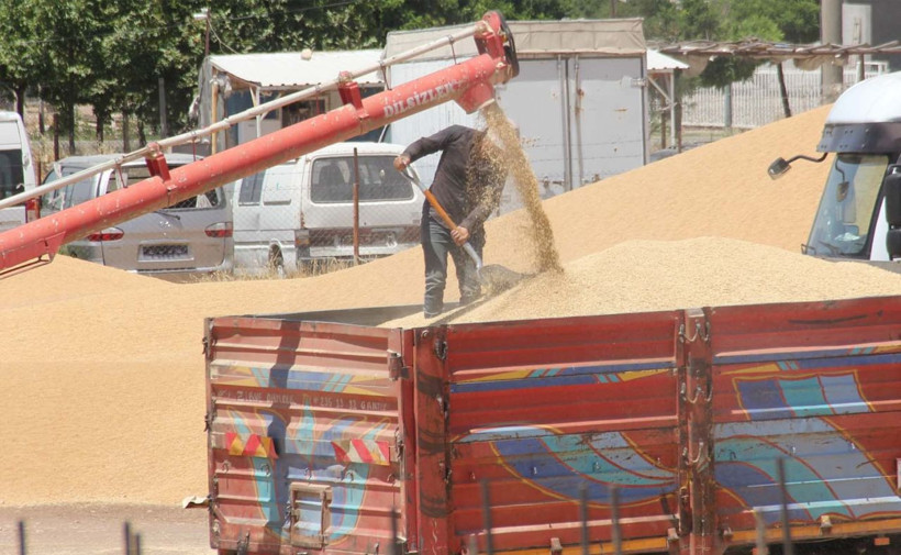 Türkiye buğdayını alıp çürümeye mi bırakıyorlar? Ortalığı karıştıran bomba iddia - Resim: 1